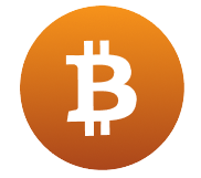 Bitcoin payment icon